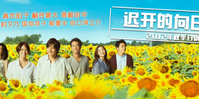 治愈系小清新《迟开的向日葵》 超励志系列推荐