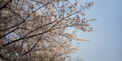 酥耳狸の随手记：Time after time