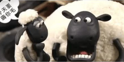 网店被羊毛党疯狂下单700万致破产 羊毛不是这么薅的