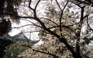 1280-1280.70fef425b8adc3b9a941bf87cbb2acc232d9f3ac_cqwt_71_cqwt1_t.bc2c6c