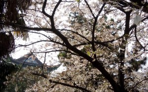 1280-1280.f22d9cae094e335a28101afab0276d89e988b673_cqwt_71_cqwt1_t.732567