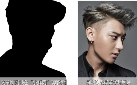 新浪娱乐开撕H姓“小鲜肉”耍大牌?网友:黄子韬-狸卡司