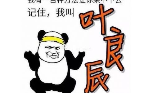 王思聪不服!网红叶良辰究竟是何许人也?-狸卡司